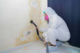 Best Commercial Mold Inspection  in Groesbeck, OH